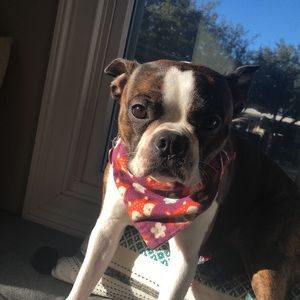 Meet your Posher, Camila